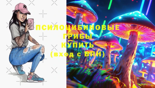 гашик Балахна