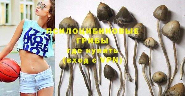 mix Армянск