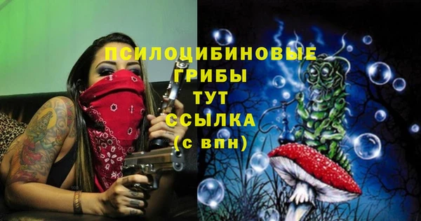 твердый Аркадак