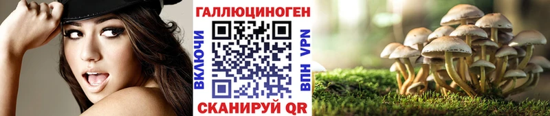 Псилоцибиновые грибы прущие грибы гидра онион Славск